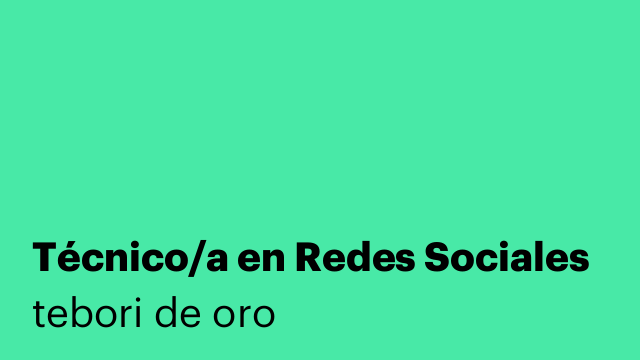 Técnico/a en Redes Sociales