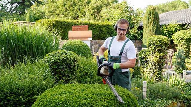 jardinería, mantenimiento y limpieza