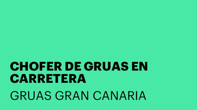CHOFER DE GRUAS EN CARRETERA