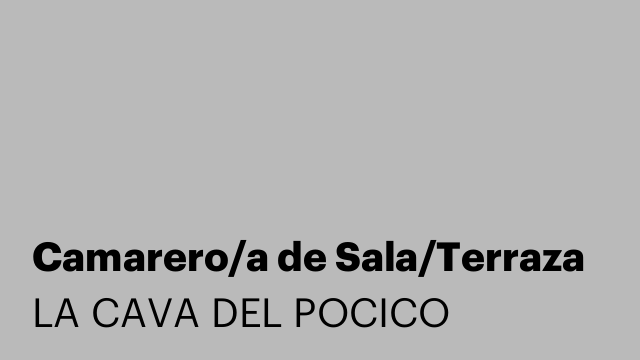 Camarero/a de Sala/Terraza