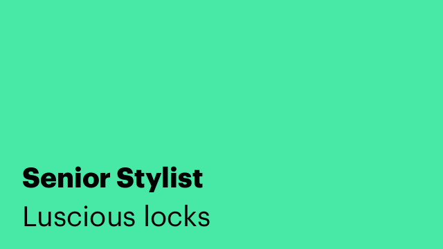 Senior Stylist
