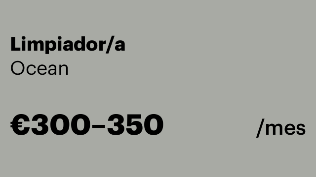 Limpiador/a