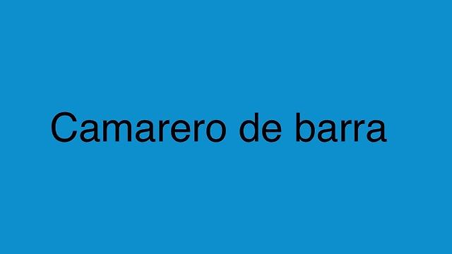 Camarero/a de Barra