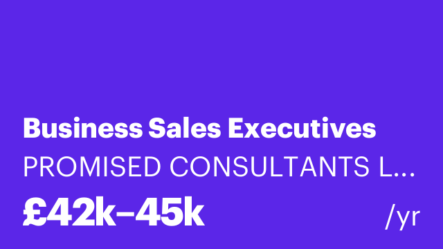 Business Sales Executives