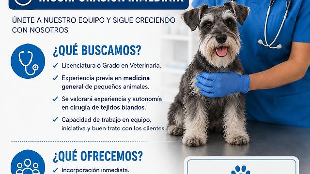 Veterinario/a