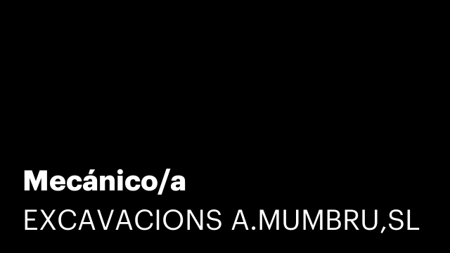 Mecánico/a
