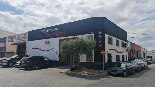 Profesor/a de Baile y Canto