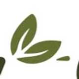 Albergue W. avatar icon