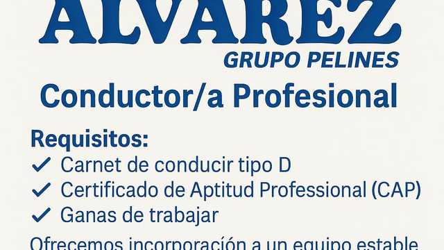 CONDUCTOR DE AUTOCAR