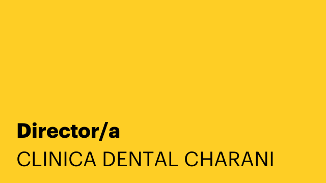 Director/a