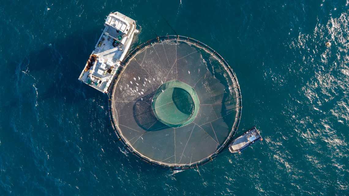 ACUIDELTA, S.L. cover image