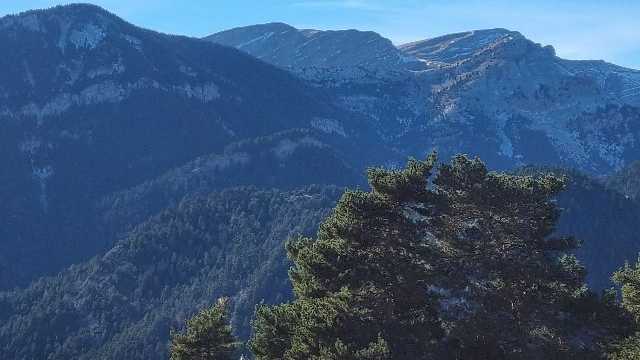 Camarero/a y Ayudante/a de Cocina