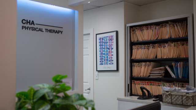 Physical Therapist (PT)