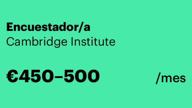 Encuestador/a