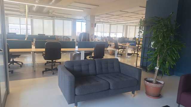 SEO & Performance Specialist