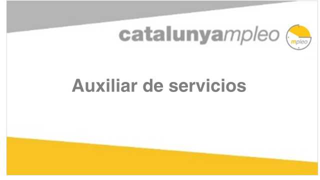 Auxiliar de servicios