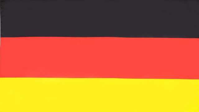 Idioma Alemán nativo/nivel muy alto