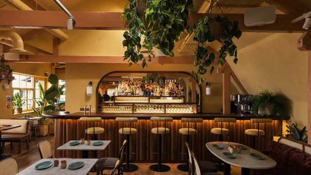 Bartender