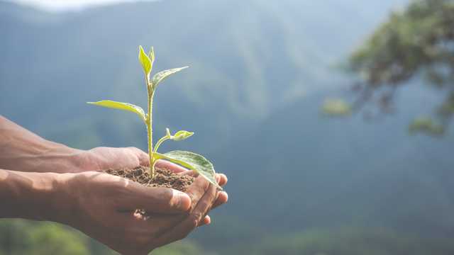 Educador/a Ambiental – Programa de Educación Ambiental (Cuenca)