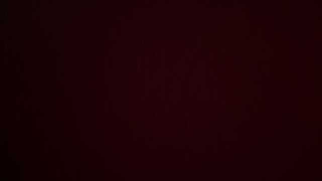 Camarero/a de Restaurante