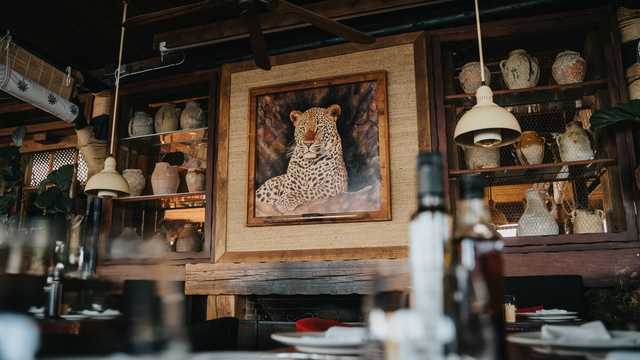 COORDINADOR/A DE HAMACAS