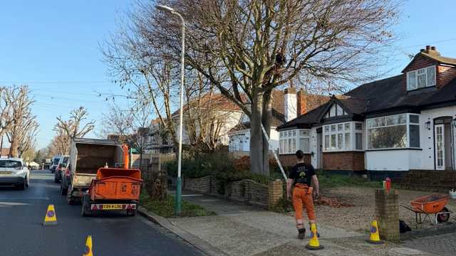 Tree Surgery Groundsman