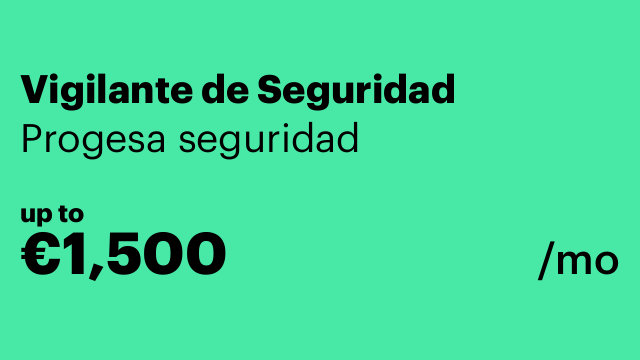 Vigilante de Seguridad