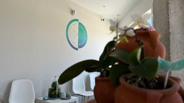 Fisioterapeuta colegiado