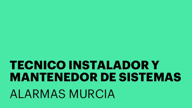 TECNICO INSTALADOR Y MANTENEDOR DE SISTEMAS DE SEGURIDAD