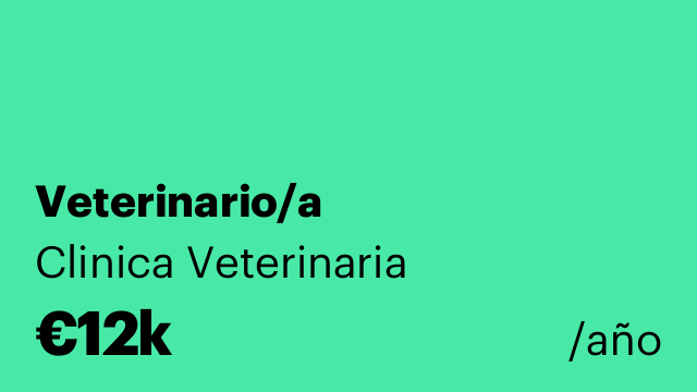 Veterinario/a