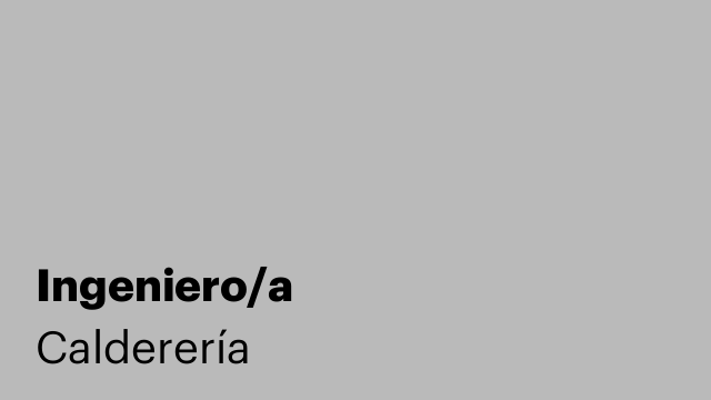 Ingeniero/a