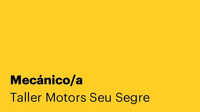 Mecánico/a