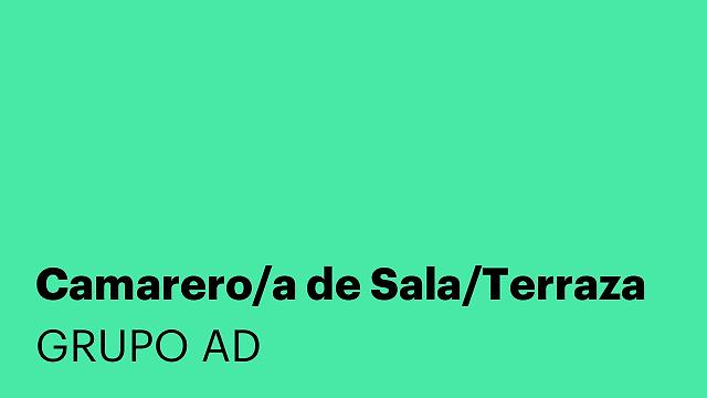 Camarero/a de Sala/Terraza