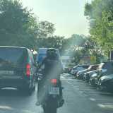 Lorenzo N. avatar icon