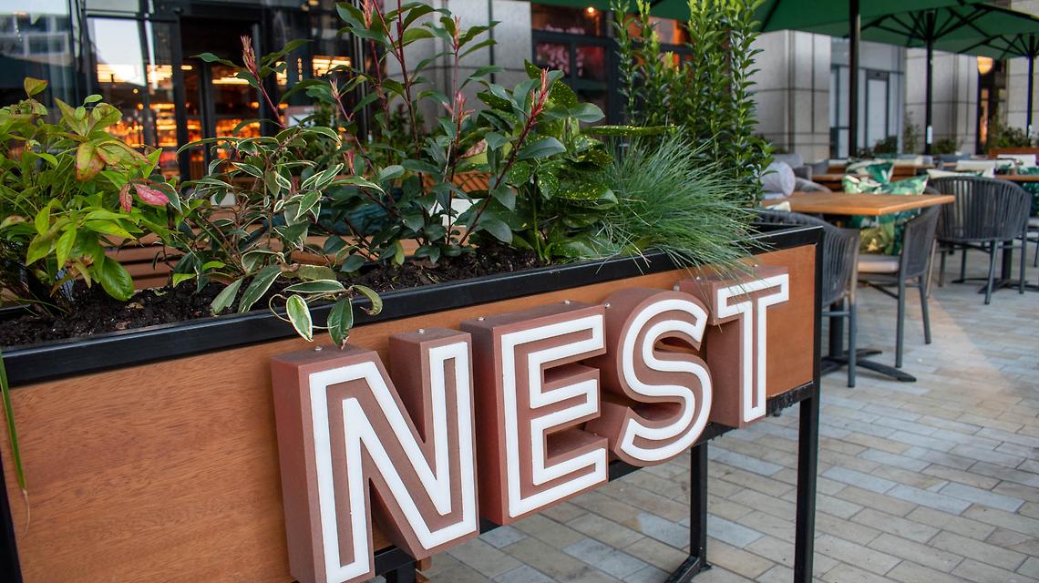 Nest cover image