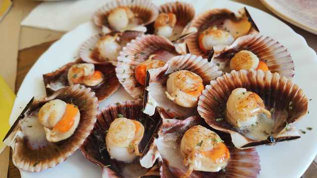 Ayudante/a de Camarero/a