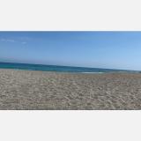 Mario G. avatar icon