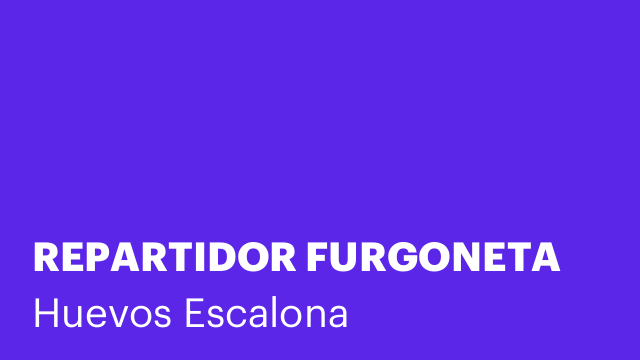 REPARTIDOR FURGONETA
