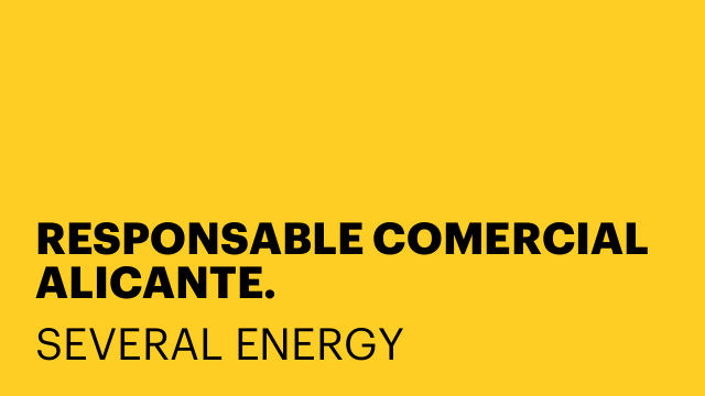 RESPONSABLE COMERCIAL ALICANTE.