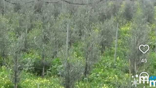 Sales Representative