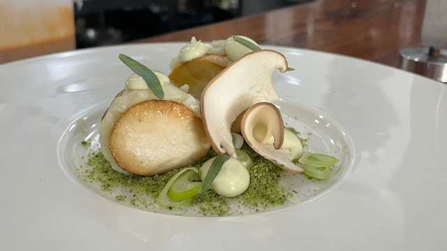 Cocinero/a y Ayudante/a de Cocina