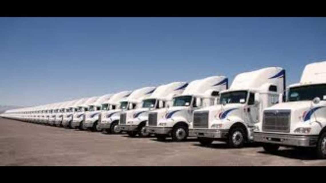 transportes águila  cover image