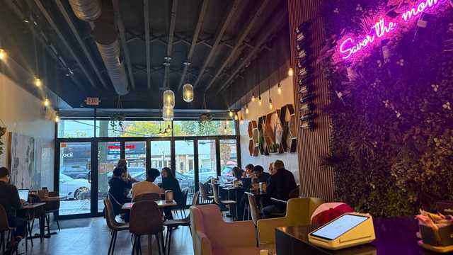 Barista and Waiter / Waitress