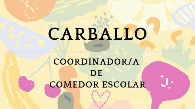 Coordinador/a de comedor escolar