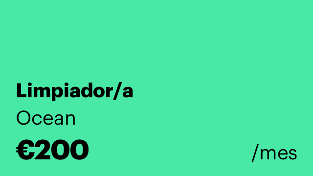 Limpiador/a