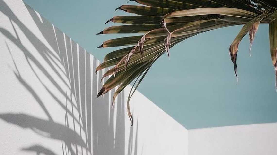 Pòsit Restaurant cover image