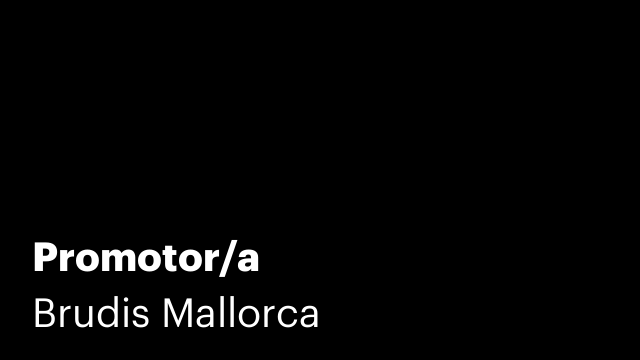 Promotor/a