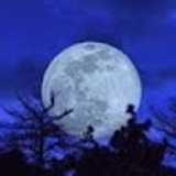 Dario J. avatar icon