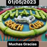 Schiar Maui M. avatar icon