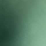 Seila S. avatar icon